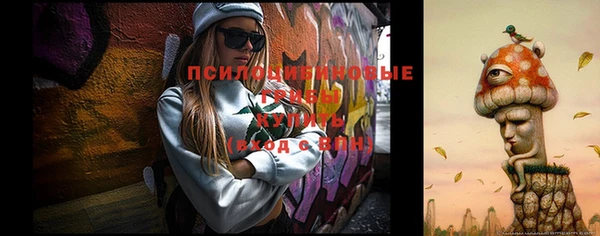 твердый Лабытнанги