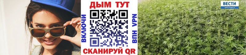 Купить где  Темников  МАРИХУАНА SATIVA & INDICA 
